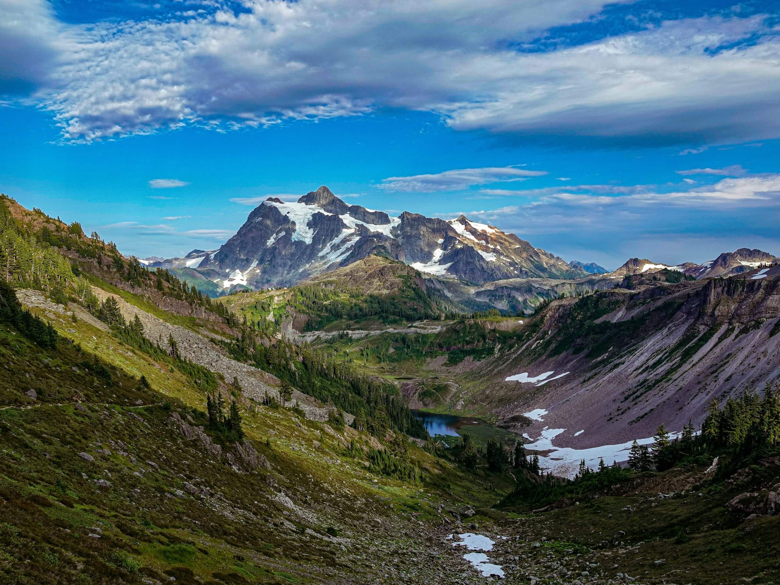 Upcoming January 2024 Harm Reduction Treatment for Substance Use Training!